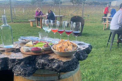 Craigie Knowe Vineyard and Cellar Door