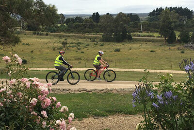 Cycle Tours and Bike hire