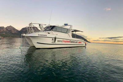 Freycinet Charters