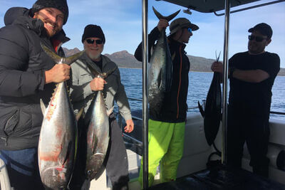 Freycinet Charters