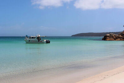 Freycinet Charters