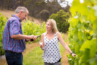 Freycinet Vineyard + Cellar Door