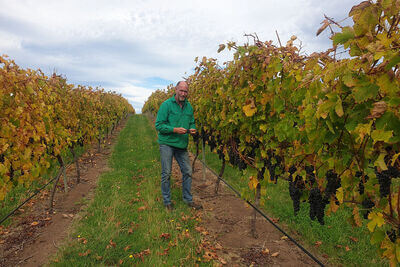 Gala Estate Vineyard + Cellar Door