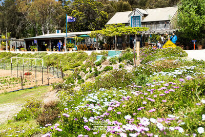 Kates Berry Farm