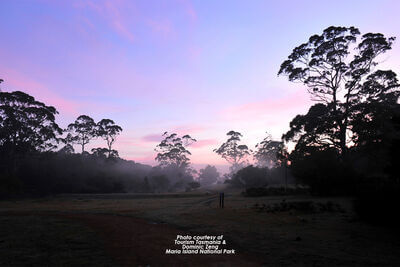 Maria Island