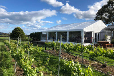 Spring Vale Vineyard and Cellar Door