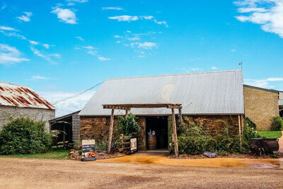 Spring Vale Vineyard and Cellar Door