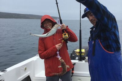 Swansea Fishing charters