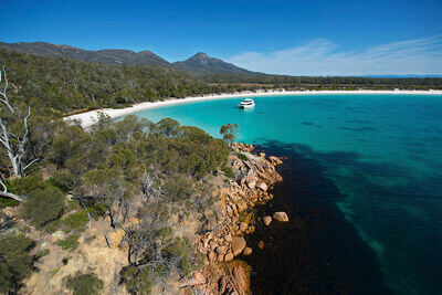 Wineglass bay cruises