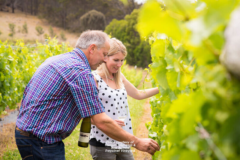 Local Wineries