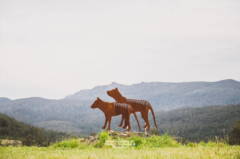 Swansea Motor Inn - Tasmanian Tiger