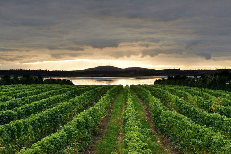 Tasmanian Wineries - Swansea Motor Inn